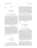 INHIBITORS OF THE RENAL OUTER MEDULLARY POTASSIUM CHANNEL diagram and image