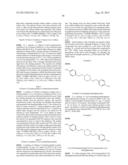 INHIBITORS OF THE RENAL OUTER MEDULLARY POTASSIUM CHANNEL diagram and image