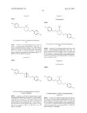 INHIBITORS OF THE RENAL OUTER MEDULLARY POTASSIUM CHANNEL diagram and image