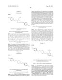 INHIBITORS OF THE RENAL OUTER MEDULLARY POTASSIUM CHANNEL diagram and image