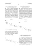 INHIBITORS OF THE RENAL OUTER MEDULLARY POTASSIUM CHANNEL diagram and image