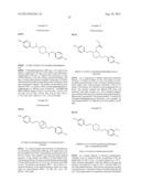 INHIBITORS OF THE RENAL OUTER MEDULLARY POTASSIUM CHANNEL diagram and image