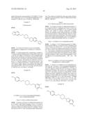 INHIBITORS OF THE RENAL OUTER MEDULLARY POTASSIUM CHANNEL diagram and image