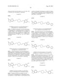 INHIBITORS OF THE RENAL OUTER MEDULLARY POTASSIUM CHANNEL diagram and image