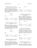 INHIBITORS OF THE RENAL OUTER MEDULLARY POTASSIUM CHANNEL diagram and image