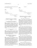 INHIBITORS OF THE RENAL OUTER MEDULLARY POTASSIUM CHANNEL diagram and image