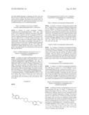 INHIBITORS OF THE RENAL OUTER MEDULLARY POTASSIUM CHANNEL diagram and image