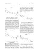 INHIBITORS OF THE RENAL OUTER MEDULLARY POTASSIUM CHANNEL diagram and image