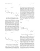 INHIBITORS OF THE RENAL OUTER MEDULLARY POTASSIUM CHANNEL diagram and image