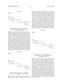 INHIBITORS OF THE RENAL OUTER MEDULLARY POTASSIUM CHANNEL diagram and image