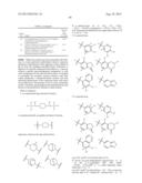 INHIBITORS OF THE RENAL OUTER MEDULLARY POTASSIUM CHANNEL diagram and image