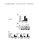 TARGETING PI3K/MTOR SIGNALLING AND NEUTROPHIL RECRUITMENT FOR TREATMENT OF     ENTERITIS diagram and image