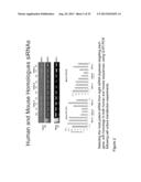 Combinations of TGFBeta and COX-2 Inhibitors and Methods for Their     Therapeutic Application diagram and image