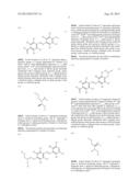 OLIGONUCLEOTIDE AND USE THEREOF diagram and image