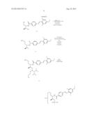 OLIGONUCLEOTIDE AND USE THEREOF diagram and image