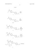 OLIGONUCLEOTIDE AND USE THEREOF diagram and image