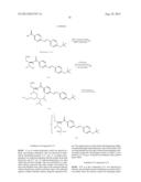 OLIGONUCLEOTIDE AND USE THEREOF diagram and image