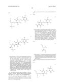 OLIGONUCLEOTIDE AND USE THEREOF diagram and image