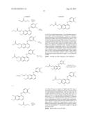 QUINAZOLINE DERIVATIVES AND QUINAZOLINE COMPLEX PROTEIN KINASE INHIBITOR     FOR INHIBITING MULTIPLICAITON OF TUMOR CELLS AND PREPARATION METHOD     THEREOF diagram and image