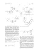 QUINAZOLINE DERIVATIVES AND QUINAZOLINE COMPLEX PROTEIN KINASE INHIBITOR     FOR INHIBITING MULTIPLICAITON OF TUMOR CELLS AND PREPARATION METHOD     THEREOF diagram and image