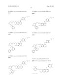 QUINAZOLINE DERIVATIVES AND QUINAZOLINE COMPLEX PROTEIN KINASE INHIBITOR     FOR INHIBITING MULTIPLICAITON OF TUMOR CELLS AND PREPARATION METHOD     THEREOF diagram and image