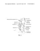 Lower Extremity Exoskeleton for Gait Retraining diagram and image