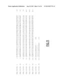 USE OF ENDONUCLEASES FOR INSERTING TRANSGENES INTO SAFE HARBOR LOCI diagram and image