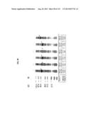 CELLULOYTIC ENZYMES, NUCLEIC ACIDS ENCODING THEM AND METHODS FOR MAKING     AND USING THEM diagram and image