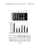 METHODS AND COMPOSITIONS TO REGULATE PLANT TRANSFORMATION SUSCEPTIBILITY diagram and image