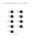 METHODS AND COMPOSITIONS TO REGULATE PLANT TRANSFORMATION SUSCEPTIBILITY diagram and image