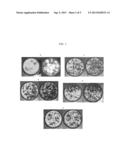 Wellbore Servicing Compositions and Methods of Making and Using Same diagram and image