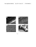 FABRICATION OF MULTILAYERED NANOSIZED POROUS MEMBRANES AND THEIR USE FOR     MAKING NOVEL NANOSTRUCTURES diagram and image