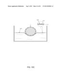 STEERING WHEEL INCLUDING HEATING ELEMENT diagram and image