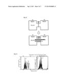 GAS FLOW METER AND METHOD FOR MEASURING VELOCITY OF GAS diagram and image