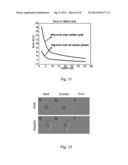 Apparatus for Real-Time Phase Correction for Diffusion-Weighted Magnetic     Resonance Imaging Using Adaptive RF Pulses diagram and image