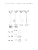 ZOOM LENS SYSTEM AND ELECTRONIC IMAGING APPARATUS USING THE SAME diagram and image