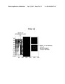 IMAGE CAPTURING UNIT, COLOR MEASURING DEVICE, IMAGE FORMING DEVICE, COLOR     MEASURING SYSTEM, AND COLOR MEASURING METHOD diagram and image