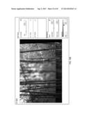 Methods and Apparatus for Applying a Bokeh Effect to Images diagram and image