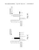 PAPILLOMAVIRUS PSEUDOVIRUSES FOR DETECTION AND THERAPY OF TUMORS diagram and image