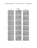 Cell Permeable Inhibitors of Anaphase Promoting Complex diagram and image