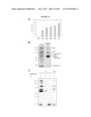 Cell Permeable Inhibitors of Anaphase Promoting Complex diagram and image