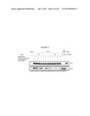 Cell Permeable Inhibitors of Anaphase Promoting Complex diagram and image