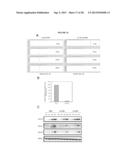 Cell Permeable Inhibitors of Anaphase Promoting Complex diagram and image