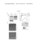 Cell Permeable Inhibitors of Anaphase Promoting Complex diagram and image