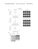 Cell Permeable Inhibitors of Anaphase Promoting Complex diagram and image