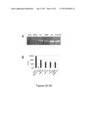 METHOD FOR PREDICTING AND PREVENTING CARDIOVASCULAR DISEASE diagram and image