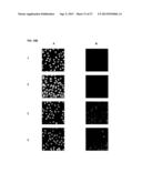 CYANINE COMPOUNDS diagram and image