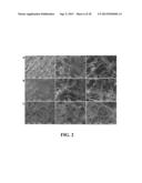 GRAPHENE HYDROGEL AND METHOD FOR USING THE SAME diagram and image