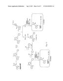 INHIBITORS OF THE ATB(0,+) TRANSPORTER AND USES THEREOF diagram and image