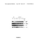 METHODS FOR DIAGNOSIS AND TREATMENT OF PROLIFERATIVE DISORDERS MEDIATED BY     CD40 SIGNALING diagram and image